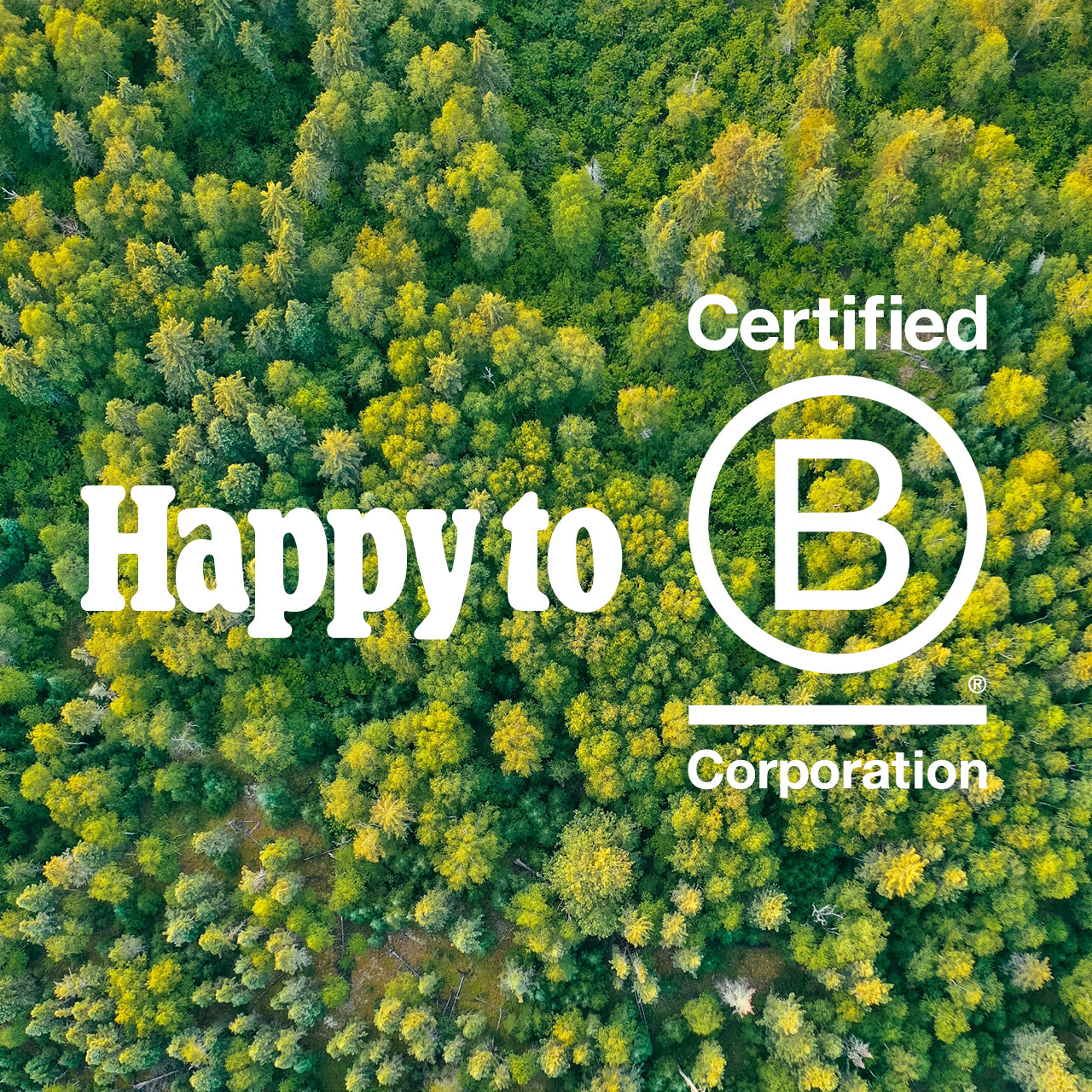 Planted ottiene la certificazione B Corp